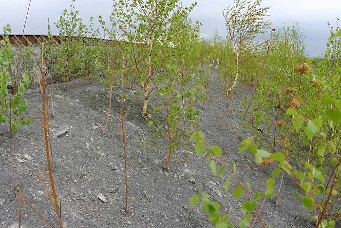 Belchatow The Largest Coal Power Station in Europe