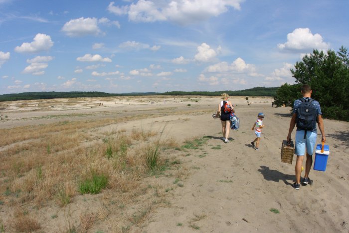 bruxnews blendow desert