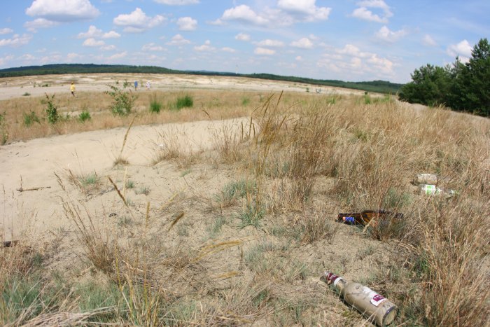 bruxnews blendow desert