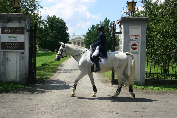 Walewice horses competiton 