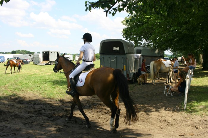 Walewice horses competiton 