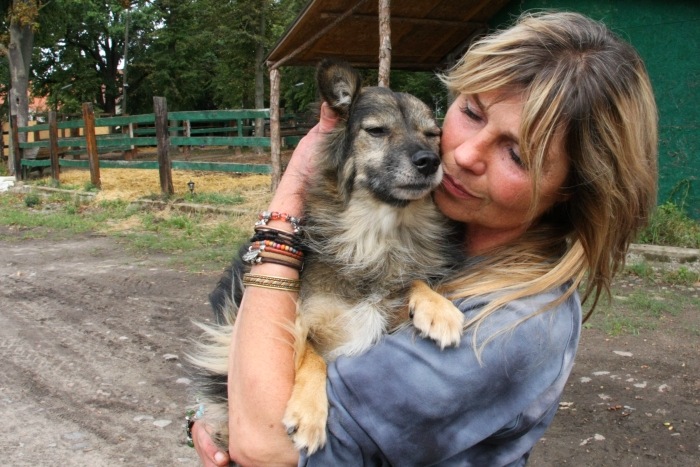 Tara Saves Horses' Lives