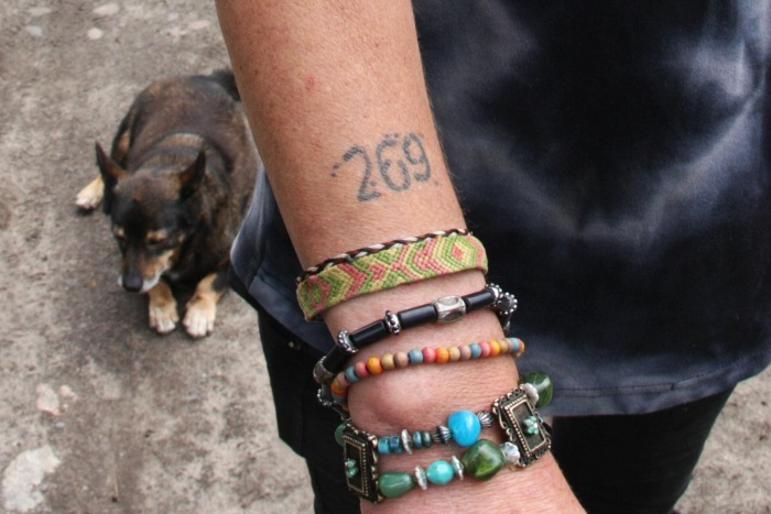 Tara Saves Horses' Lives