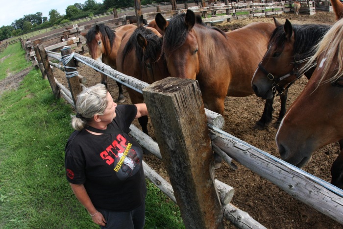 Tara Saves Horses' Lives