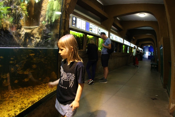 Hanna and Antoni Gucwiński's ZOO