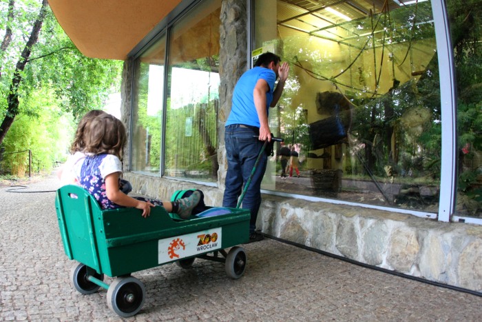 Hanna and Antoni Gucwiński's ZOO