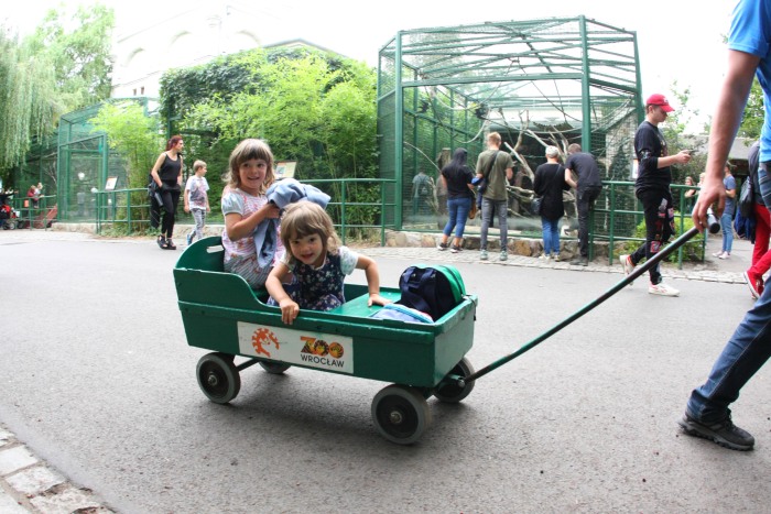 Hanna and Antoni Gucwiński's ZOO