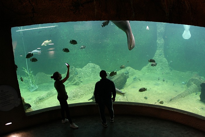 Hanna and Antoni Gucwiński's ZOO