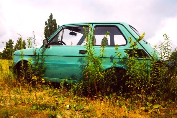 Abandoned cars in Poland - photo Brux